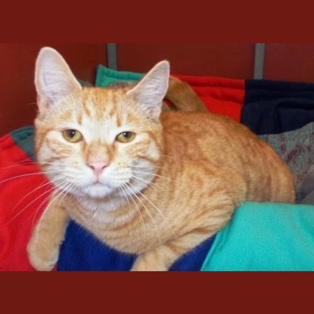 Photo of Eddie