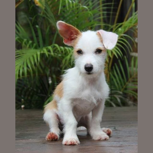 Photo of Monty