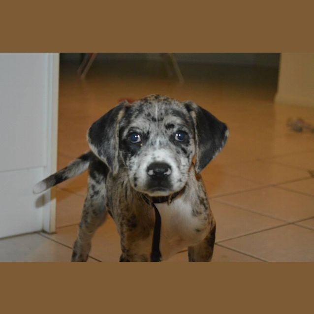 Photo of Keddie