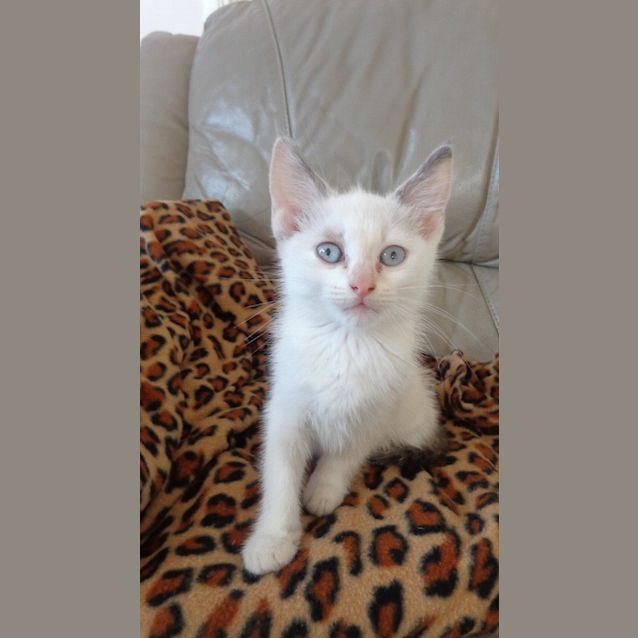 Photo of Winnie