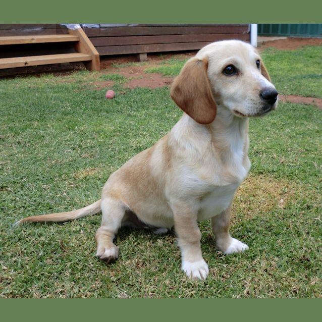 Photo of Freddie *On Trial In His New Home*