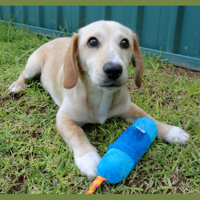 Photo of Freddie *On Trial In His New Home*