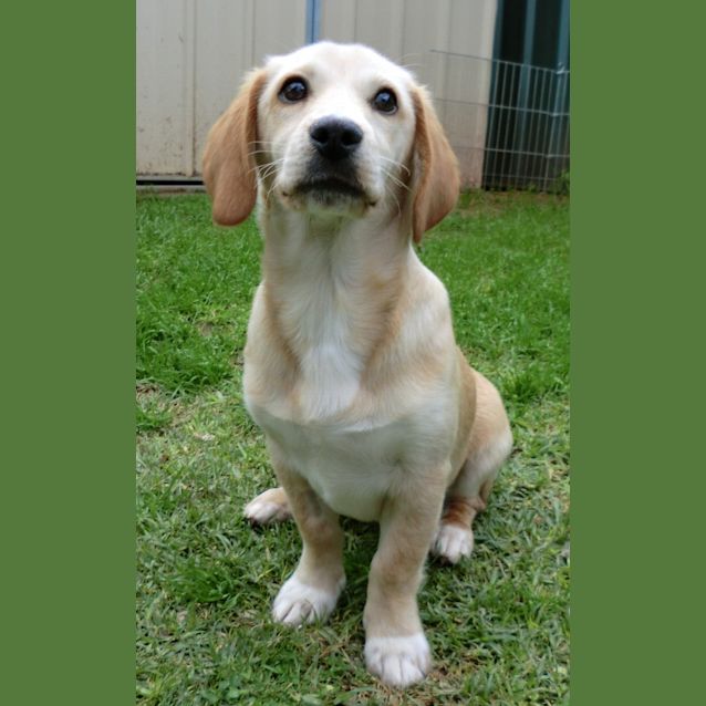 Photo of Freddie *On Trial In His New Home*