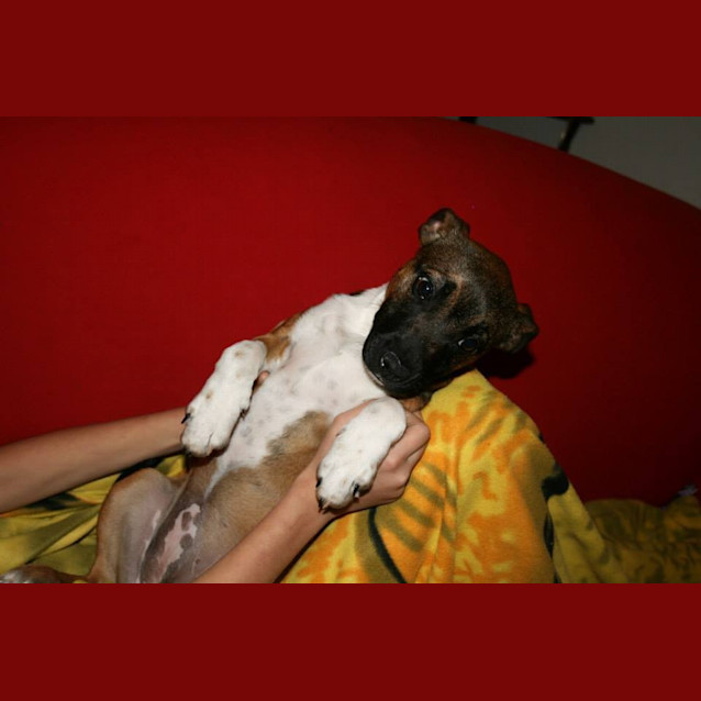 Photo of Miley