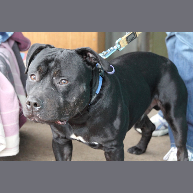 Photo of Spike