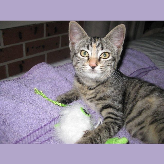 Photo of Holly