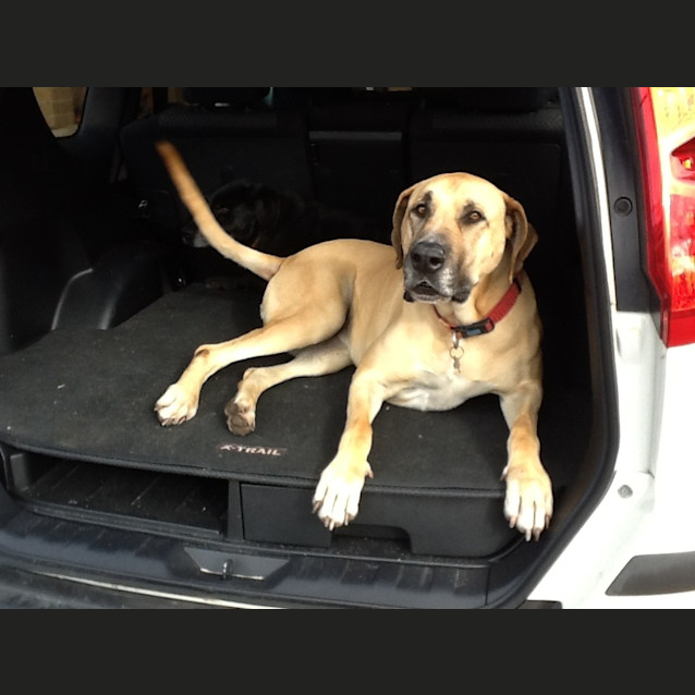 Photo of Roxy