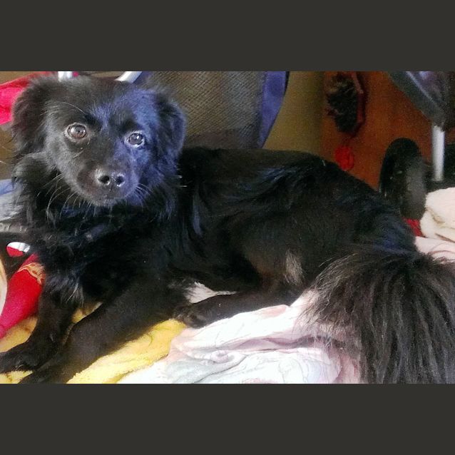 Photo of Clyde