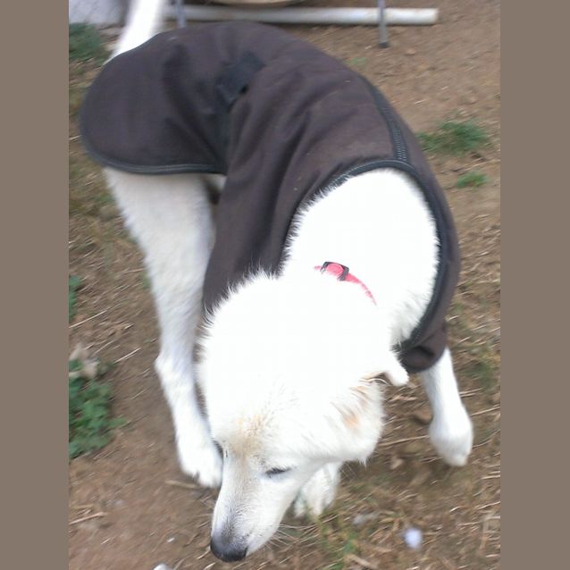 Photo of Hamish