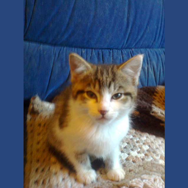 Photo of Finn