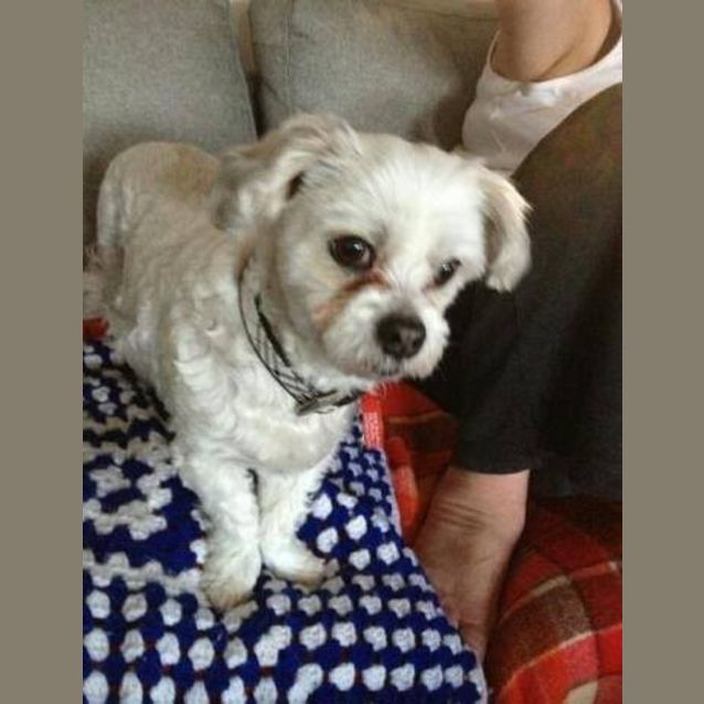 Photo of Heidi