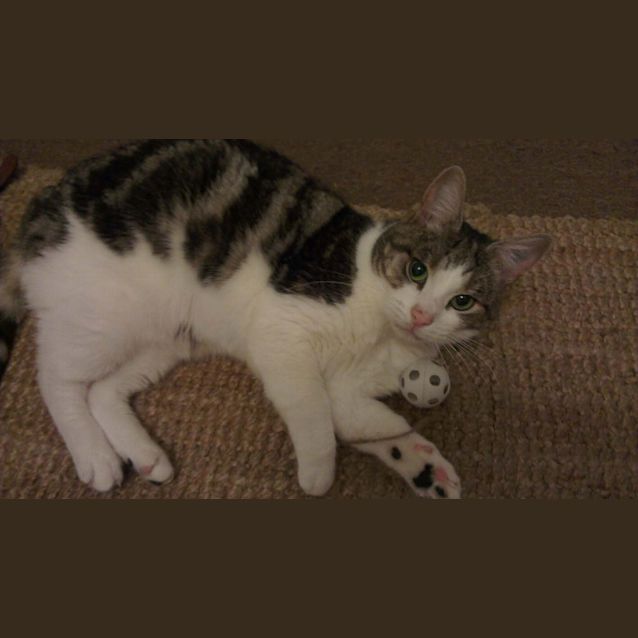 Photo of Thunderpants