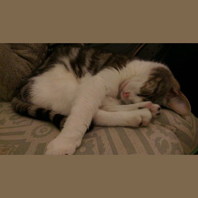 Photo of Thunderpants