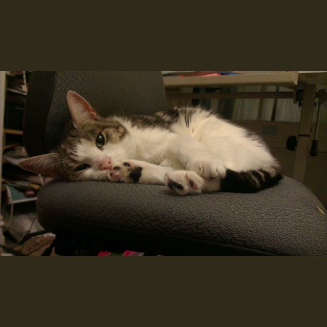 Photo of Thunderpants