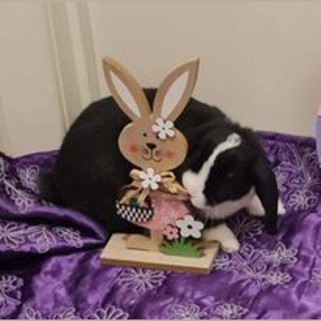 Photo of Elsa & Ebony