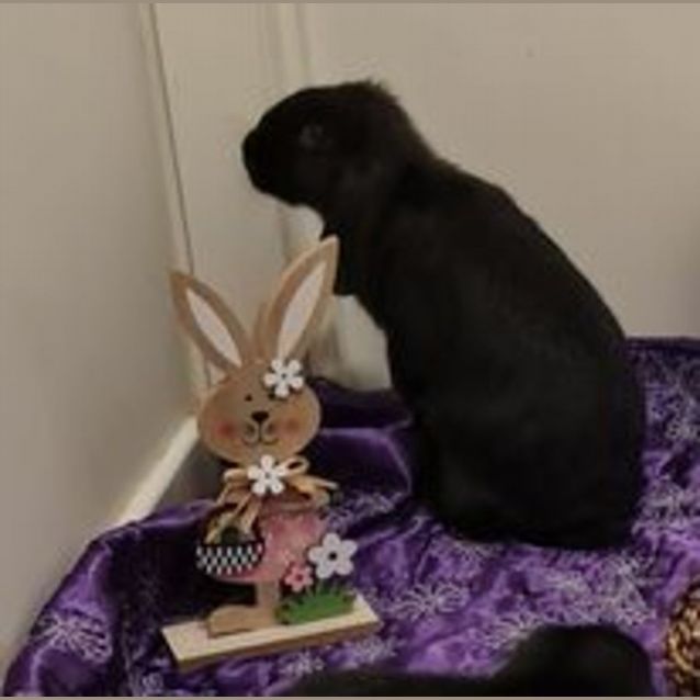 Photo of Ebony And Elsa