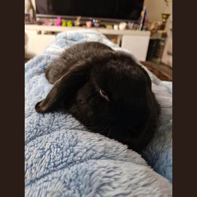 Photo of Ebony And Elsa