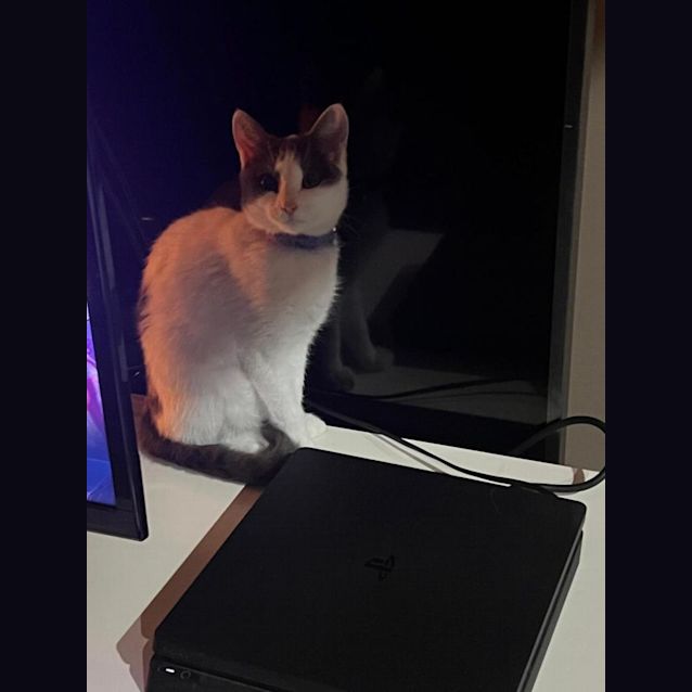 Photo of Milly