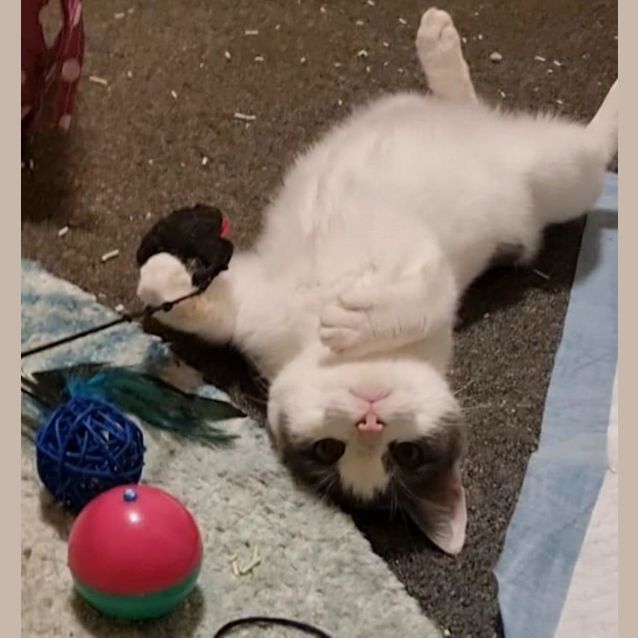 Photo of Milly