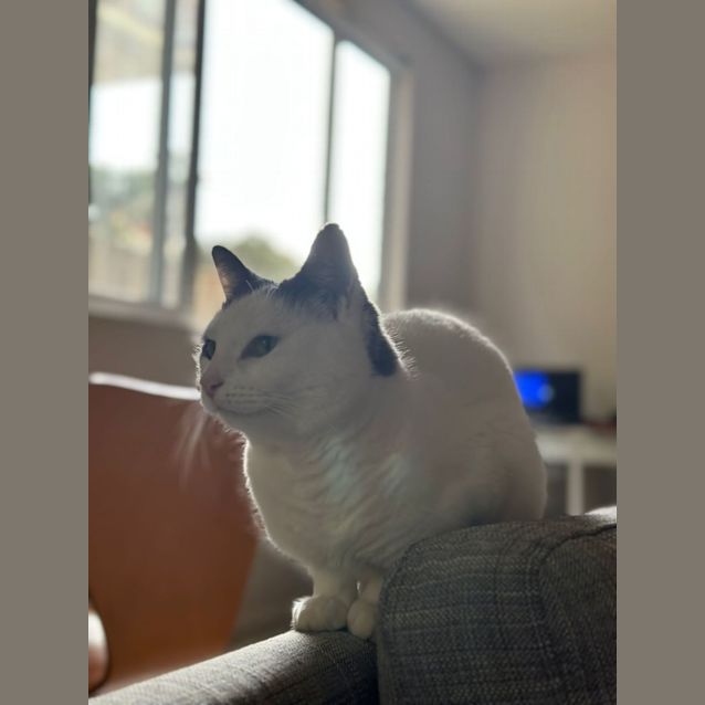 Photo of Sandy