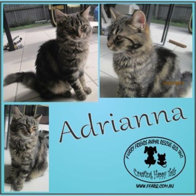 Photo of Adrianna