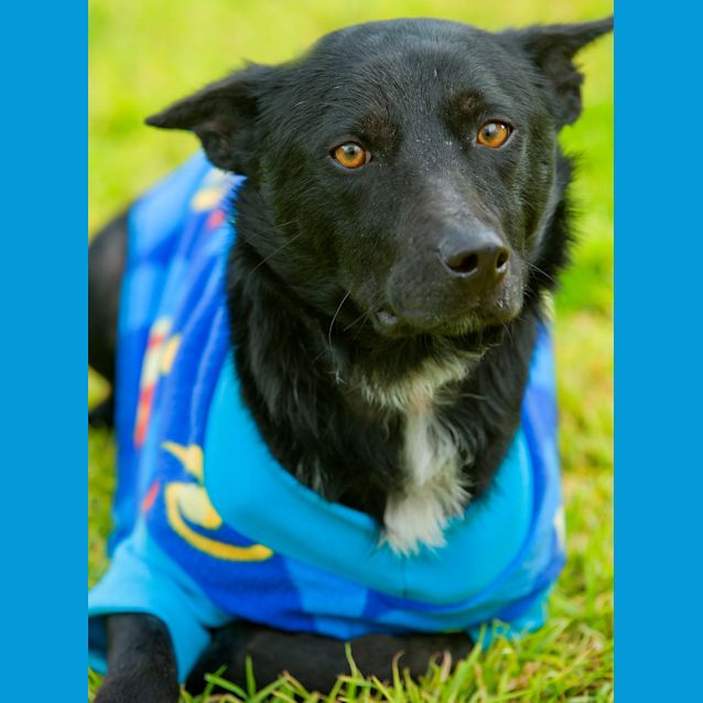 Photo of Cass Id16745