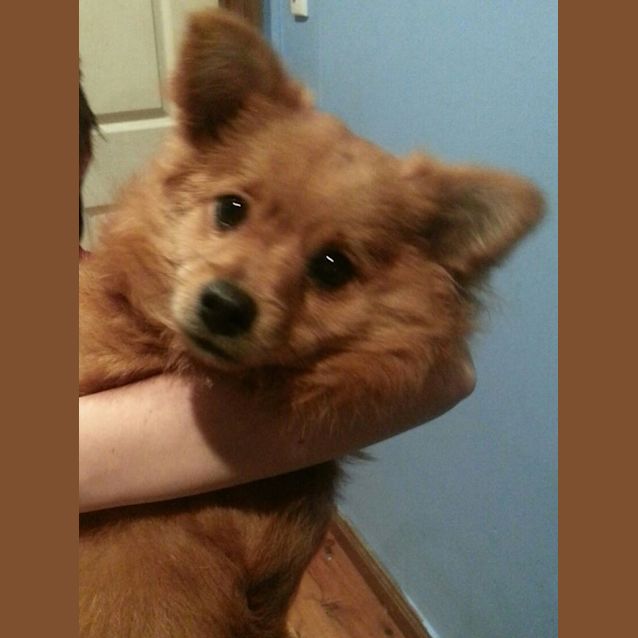 Photo of Ted