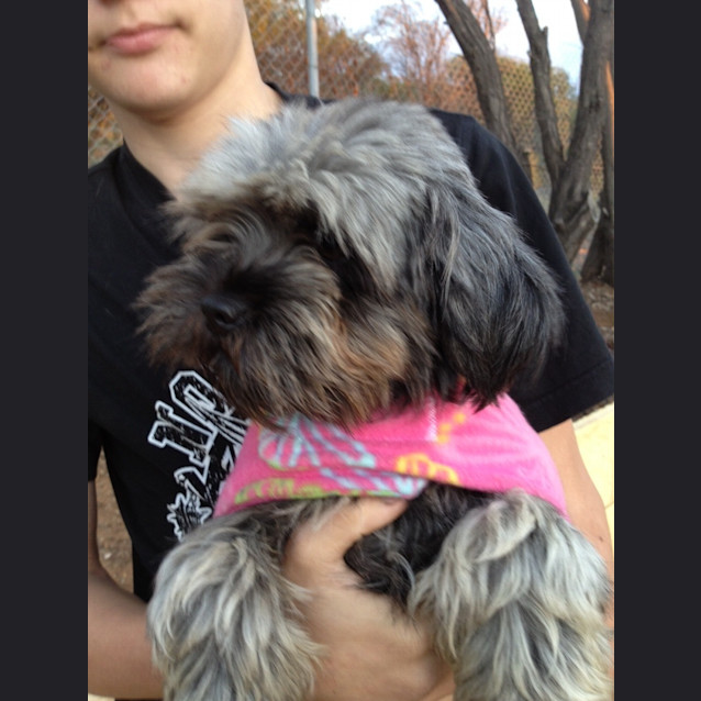 Photo of Lotti