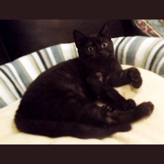 Photo of Benjie