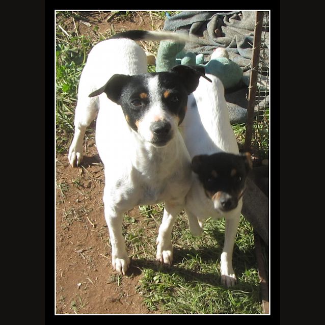 Photo of Blossom.. Kind, Calm And Loving!