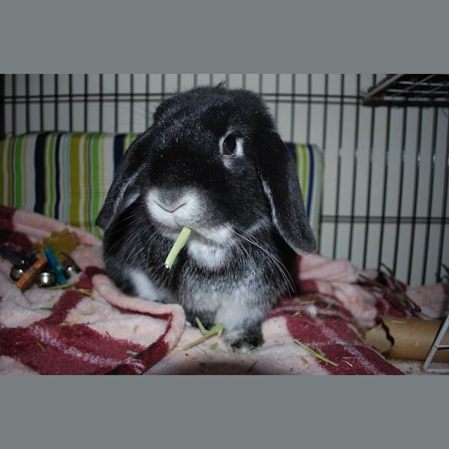 Photo of Benny Mc Munch