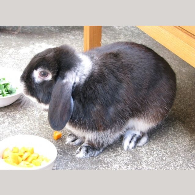 Photo of Benny Mc Munch