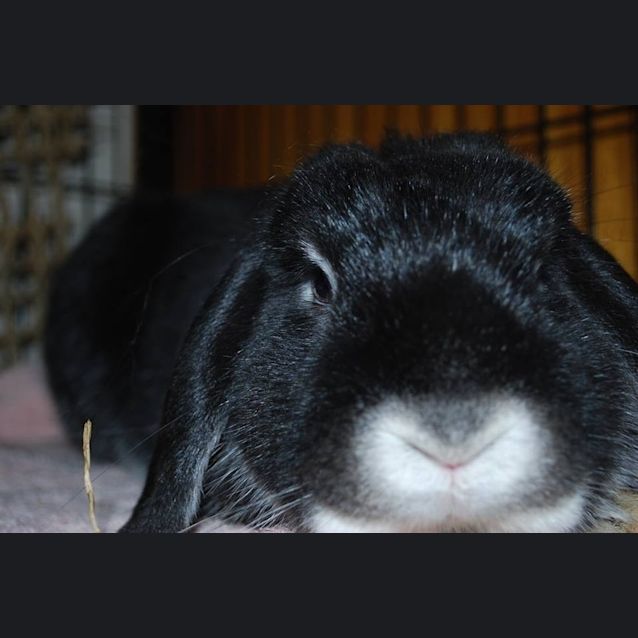 Photo of Benny Mc Munch