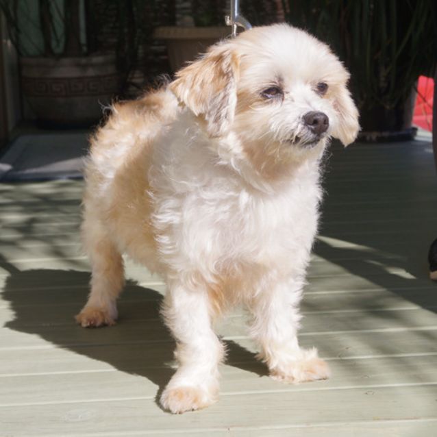 Photo of Theo