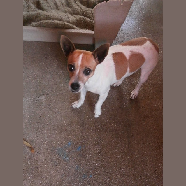 Photo of Tiny