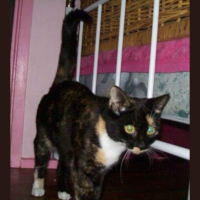 Photo of Rosie
