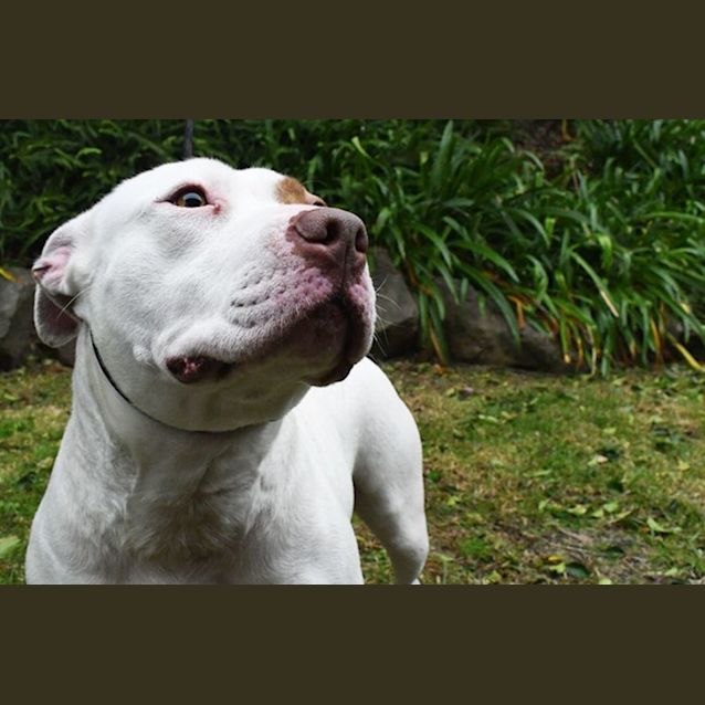 Photo of Charlotte 35248