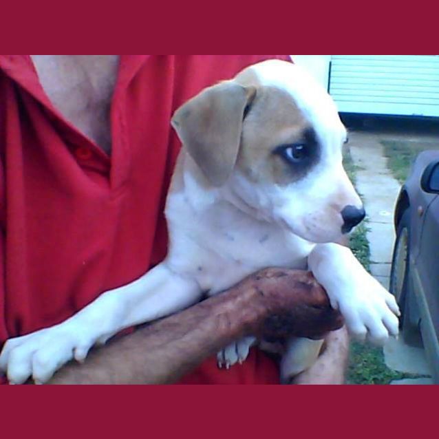 Photo of Jasper