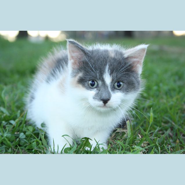 Photo of Polly
