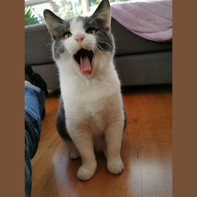Photo of Thom Yorke 💙🐈‍⬛