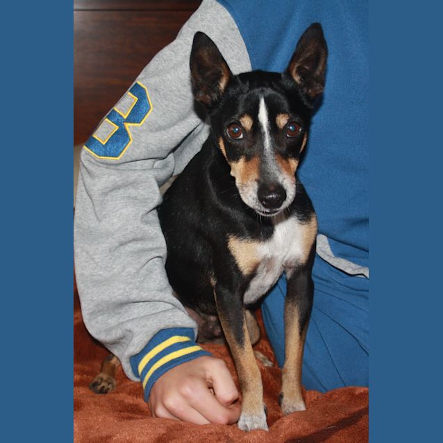 Photo of Bandit On Trial In His New Home