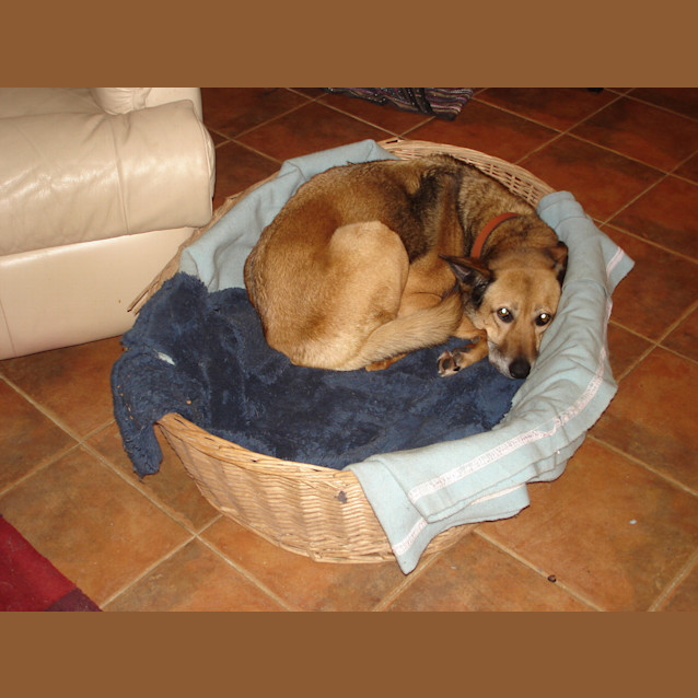 Photo of Harry On Trial In His New Home