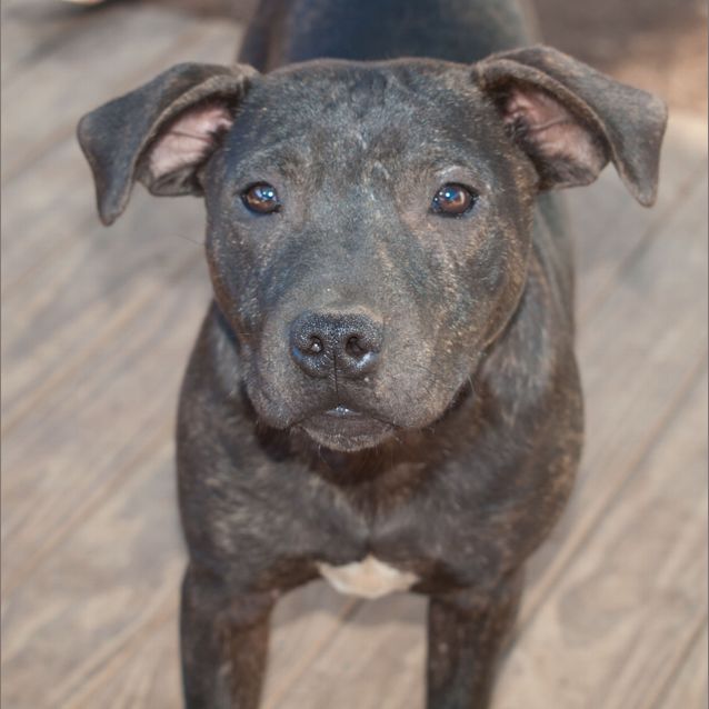 Photo of Mowgli