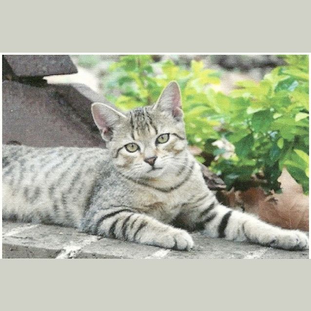 Photo of Diablo *Expressions Of Interest*