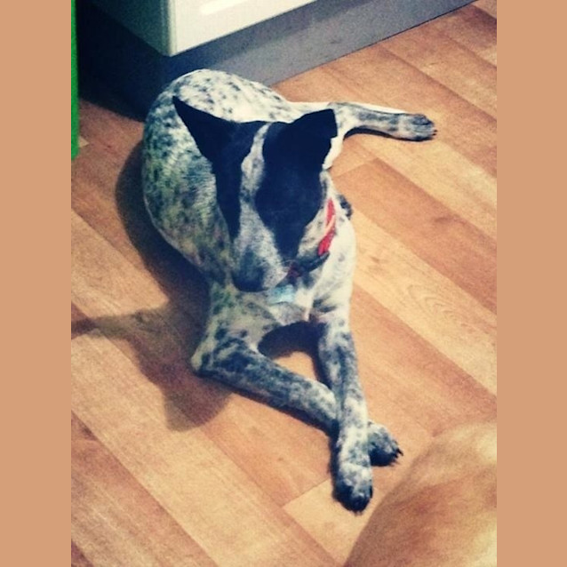 Photo of Deejay