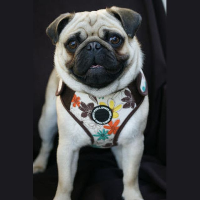 Photo of Samuel