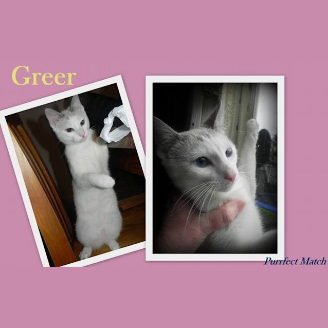 Photo of Greer