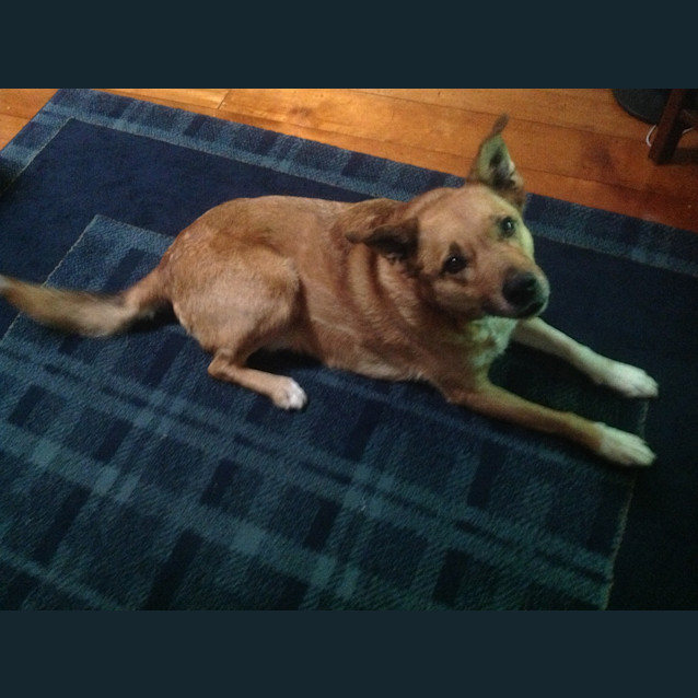Photo of Jake