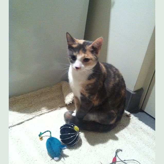 Photo of Princess Zoe