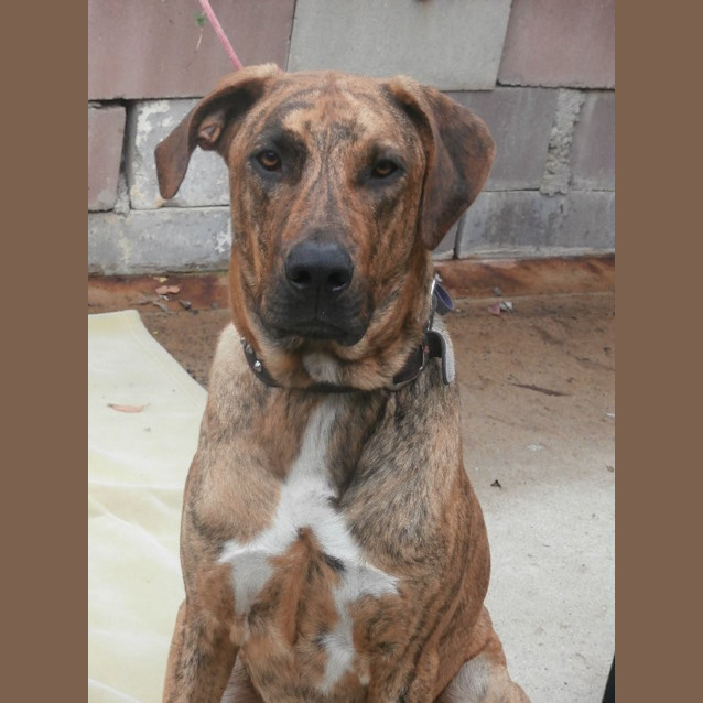 Photo of Oscar